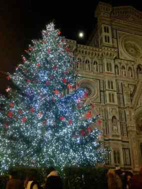 Christmas Tree at the Duomo